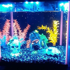 Meet your Posher, Tonya